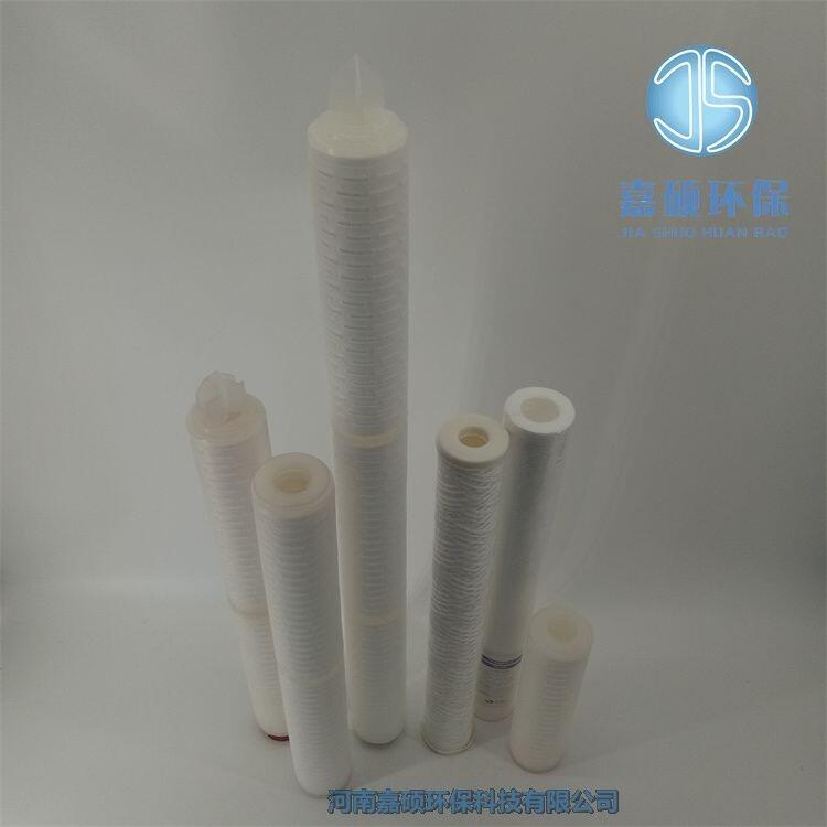 嘉碩環(huán)保PALL/頗爾 保安過(guò)濾器濾芯PPHF640H100E