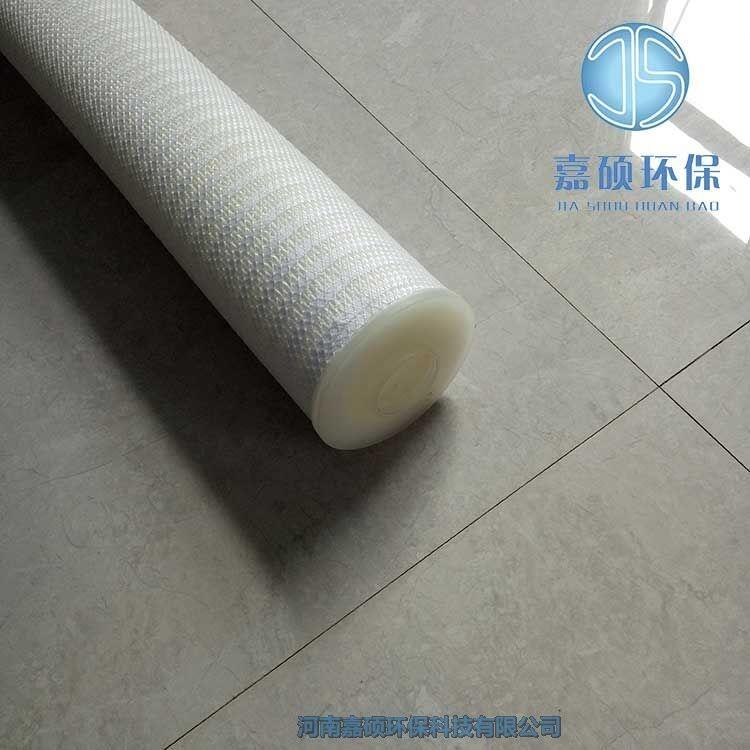 嘉碩環(huán)保大流量濾芯 70-0201-5556-3